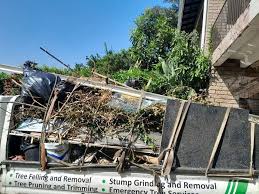 Professional Junk Removal Services in Crystal Lawns, IL