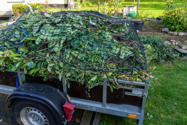 Best Garage Cleanout  in Crystal Lawns, IL